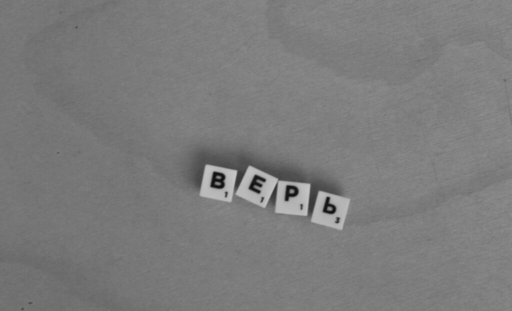 cover photo of the Article with blocks reading "bepb"